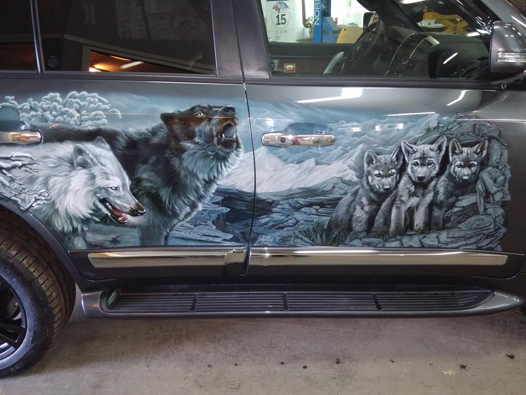 Toyota land cruiser 200 7