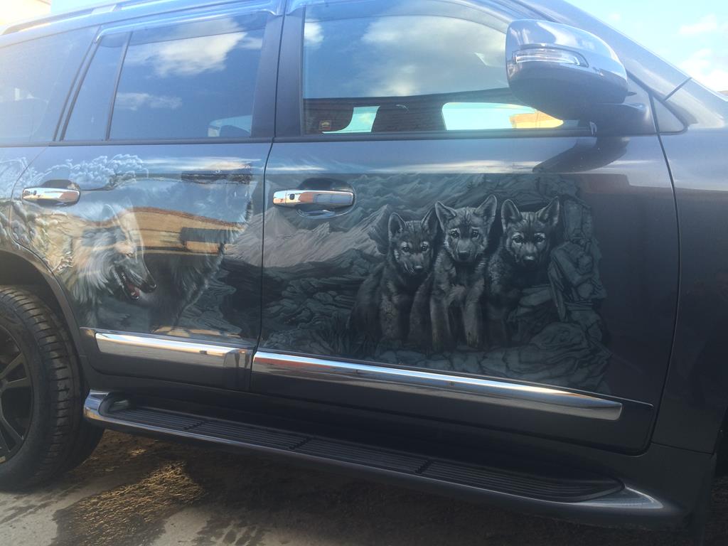Toyota land cruiser 200 19